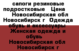 сапоги резиновые подростковые › Цена ­ 799 - Новосибирская обл., Новосибирск г. Одежда, обувь и аксессуары » Женская одежда и обувь   . Новосибирская обл.,Новосибирск г.